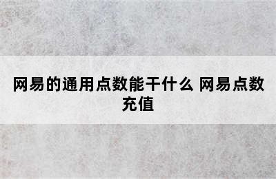 网易的通用点数能干什么 网易点数充值